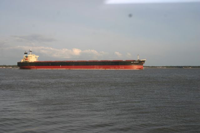 NSS Grandeur - Estuaire de la Loire - 11 avril 2009 (1).JPG